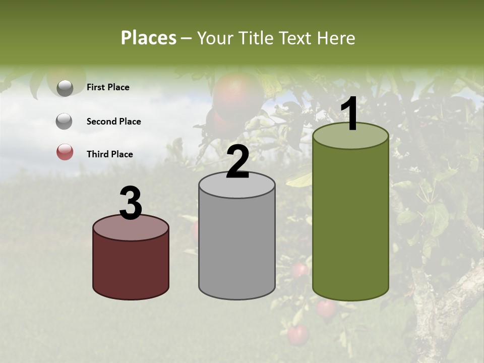 Closeup Horizontal Tree PowerPoint Template