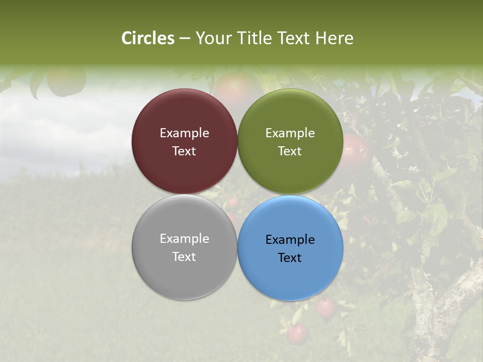 Closeup Horizontal Tree PowerPoint Template