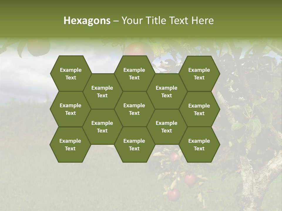 Closeup Horizontal Tree PowerPoint Template