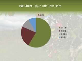 Closeup Horizontal Tree PowerPoint Template