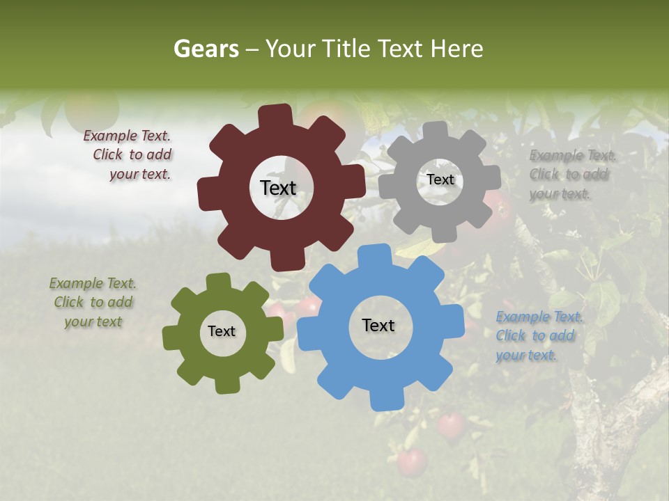 Closeup Horizontal Tree PowerPoint Template