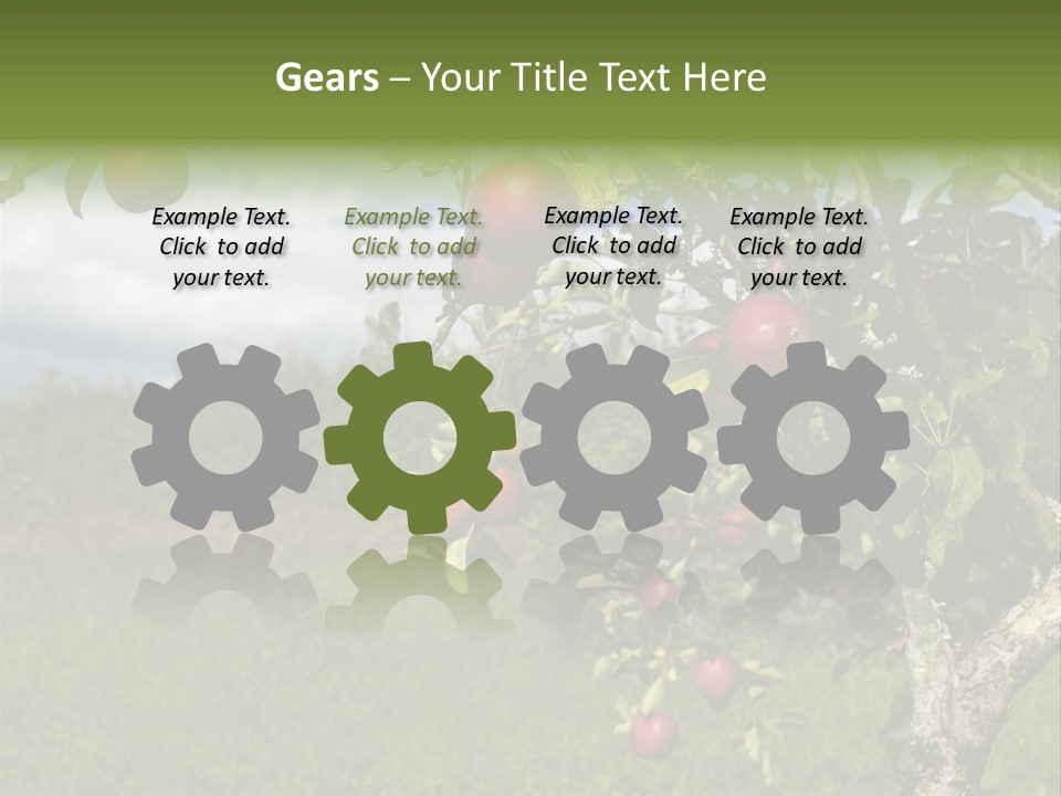 Closeup Horizontal Tree PowerPoint Template