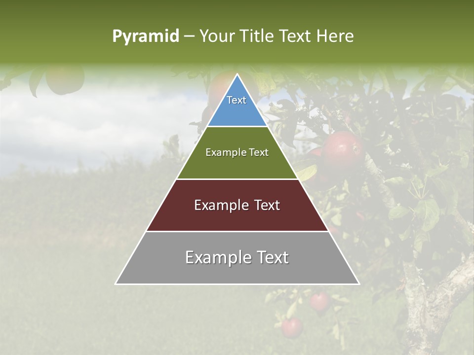 Closeup Horizontal Tree PowerPoint Template