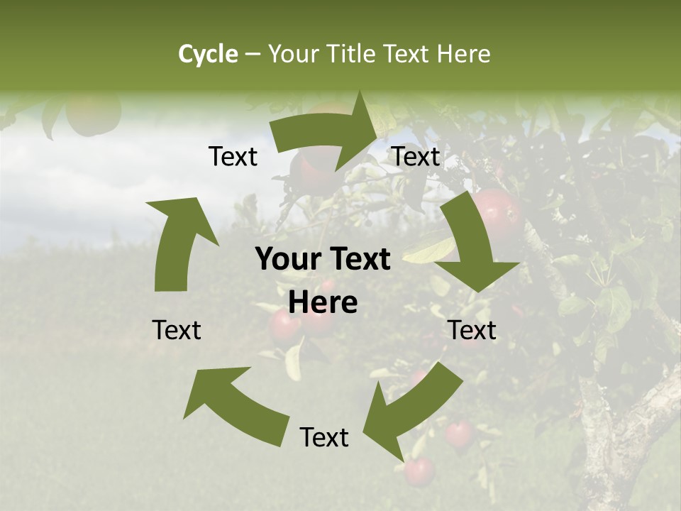 Closeup Horizontal Tree PowerPoint Template