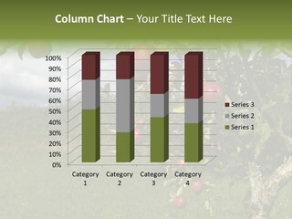 Closeup Horizontal Tree PowerPoint Template