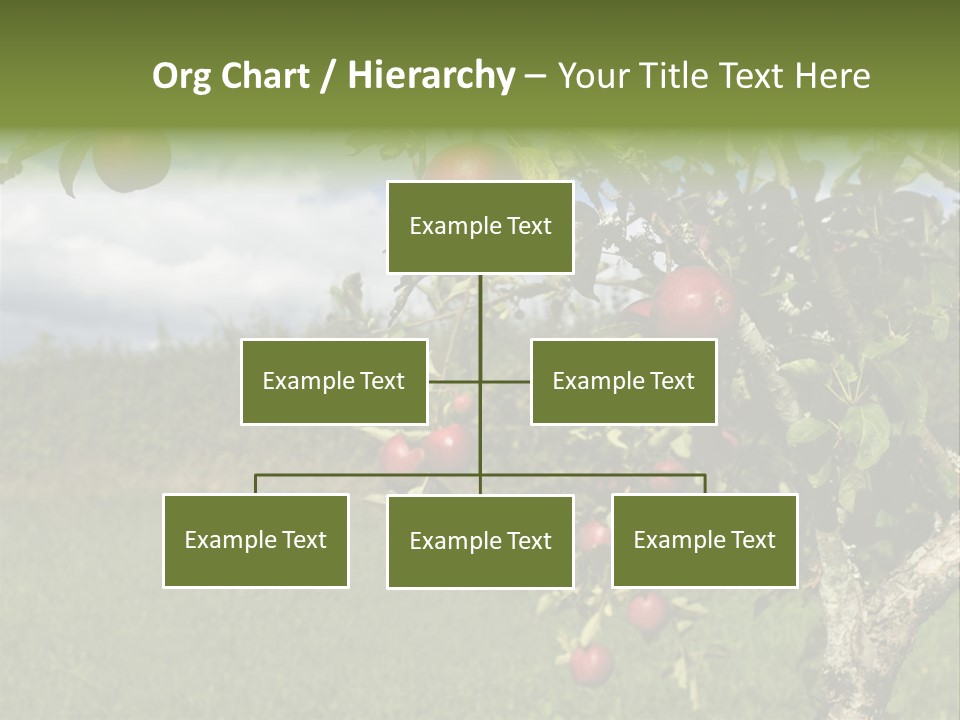 Closeup Horizontal Tree PowerPoint Template