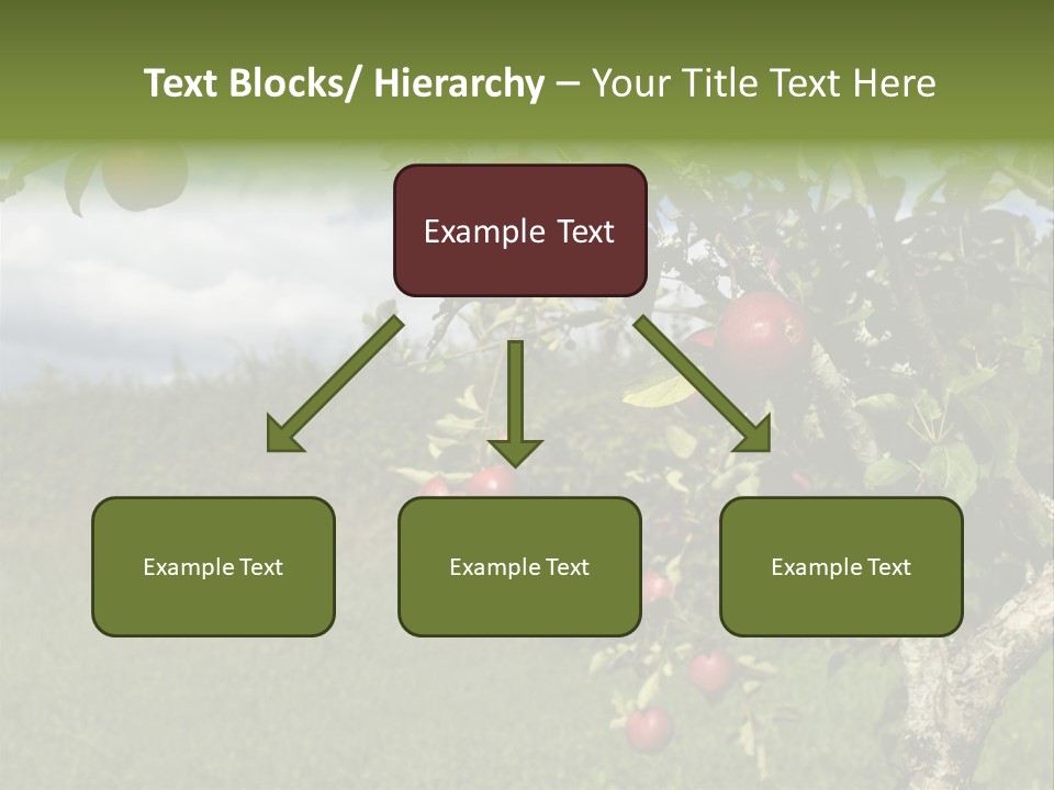 Closeup Horizontal Tree PowerPoint Template
