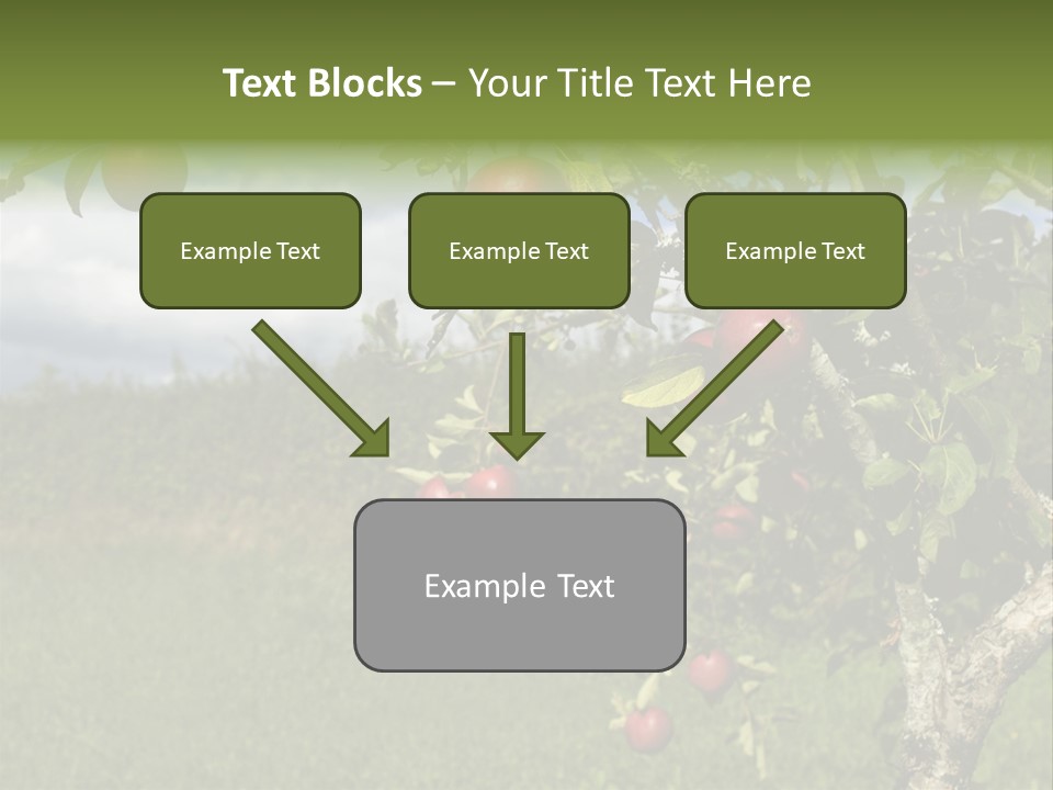 Closeup Horizontal Tree PowerPoint Template