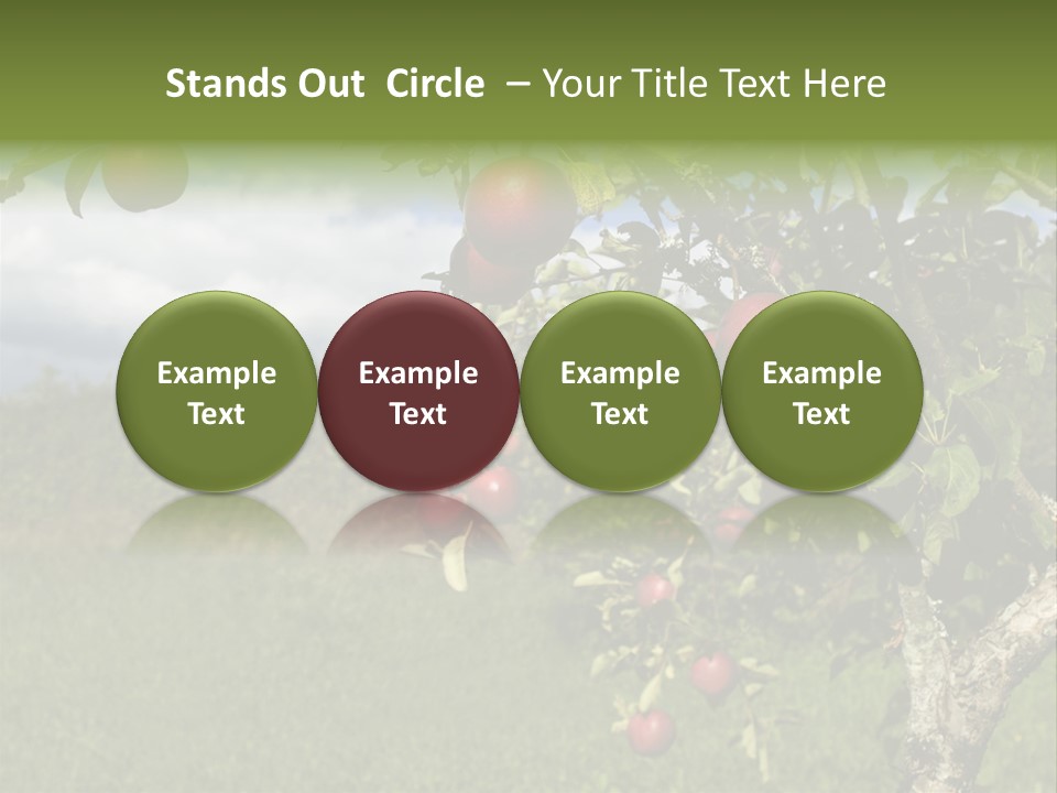 Closeup Horizontal Tree PowerPoint Template