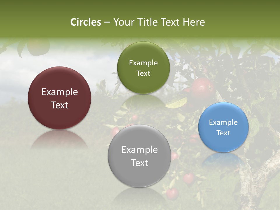 Closeup Horizontal Tree PowerPoint Template