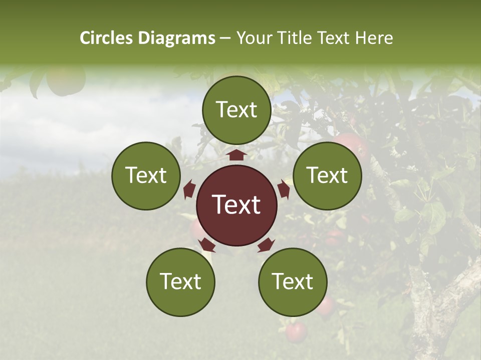 Closeup Horizontal Tree PowerPoint Template