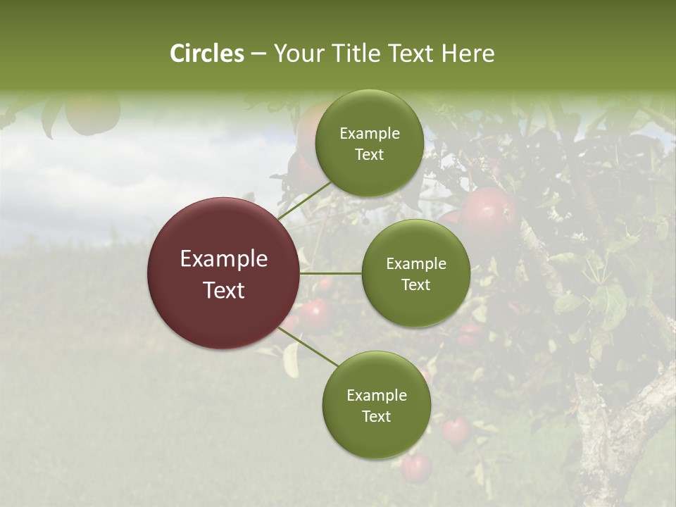 Closeup Horizontal Tree PowerPoint Template