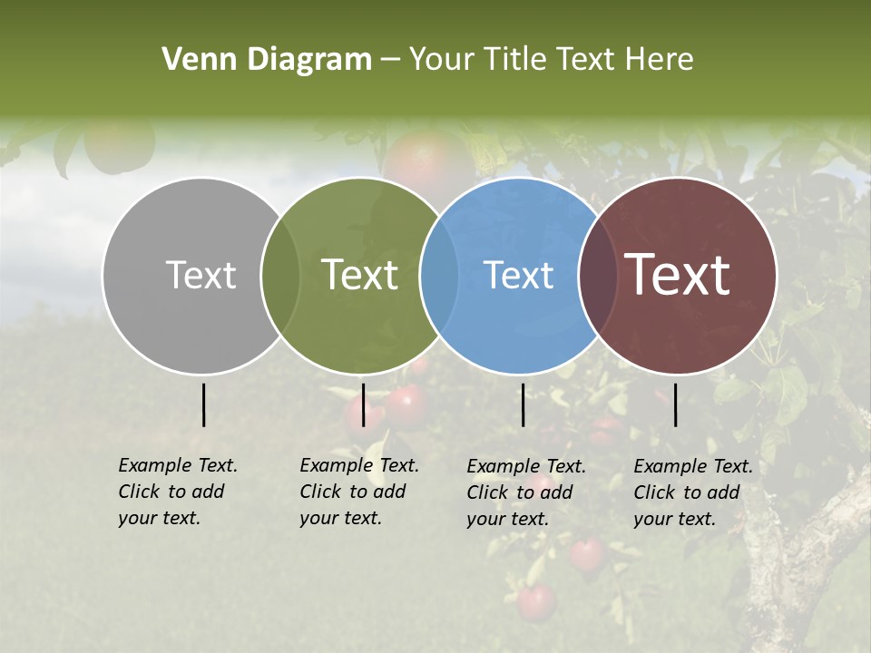 Closeup Horizontal Tree PowerPoint Template