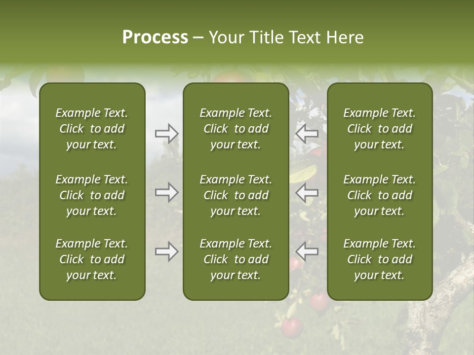 Closeup Horizontal Tree PowerPoint Template