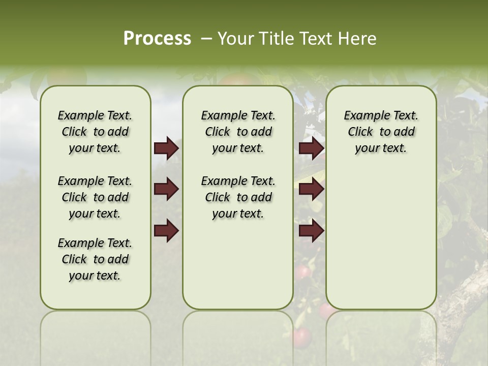 Closeup Horizontal Tree PowerPoint Template