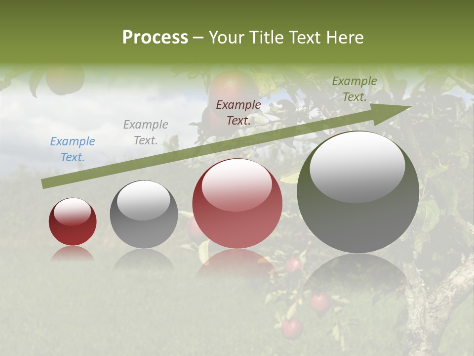 Closeup Horizontal Tree PowerPoint Template