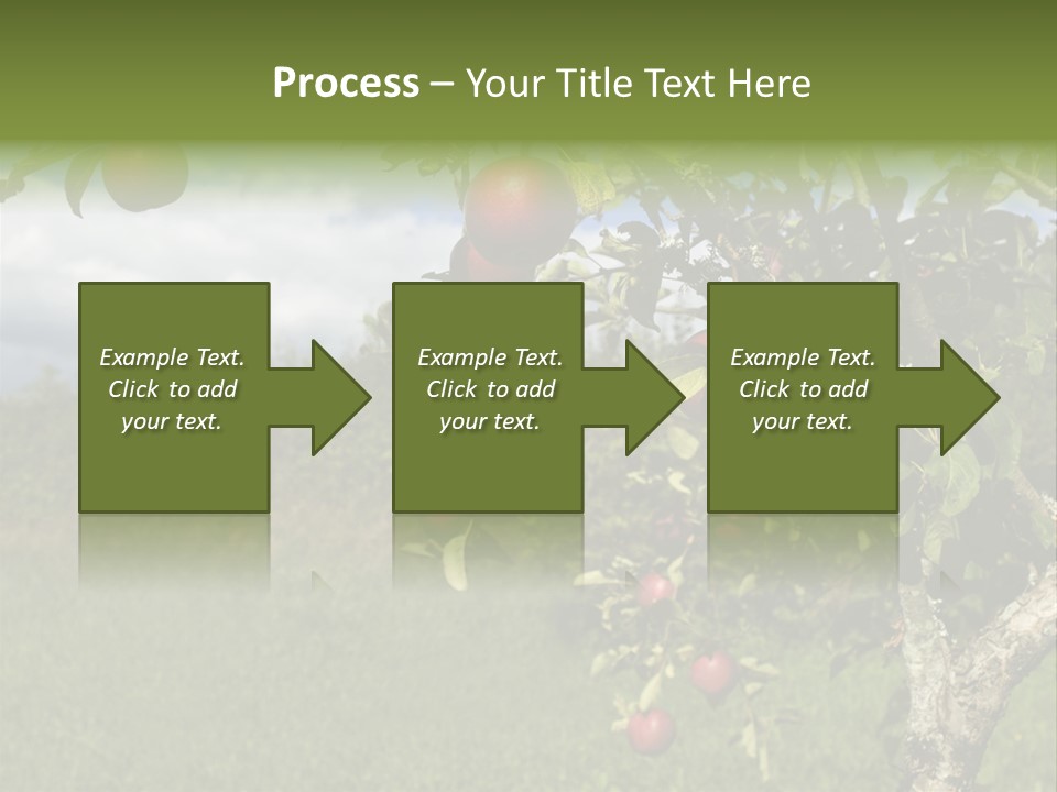 Closeup Horizontal Tree PowerPoint Template