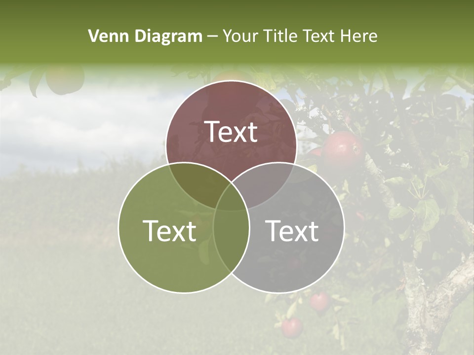 Closeup Horizontal Tree PowerPoint Template