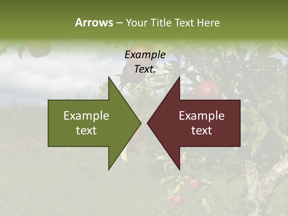 Closeup Horizontal Tree PowerPoint Template