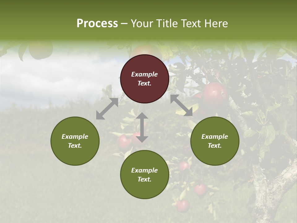 Closeup Horizontal Tree PowerPoint Template