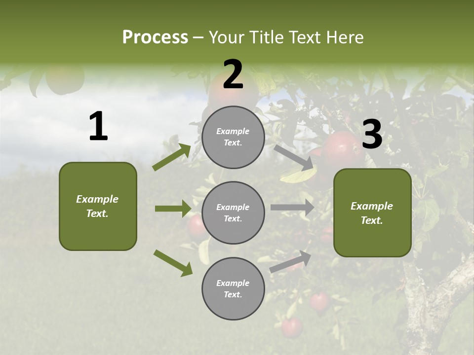 Closeup Horizontal Tree PowerPoint Template