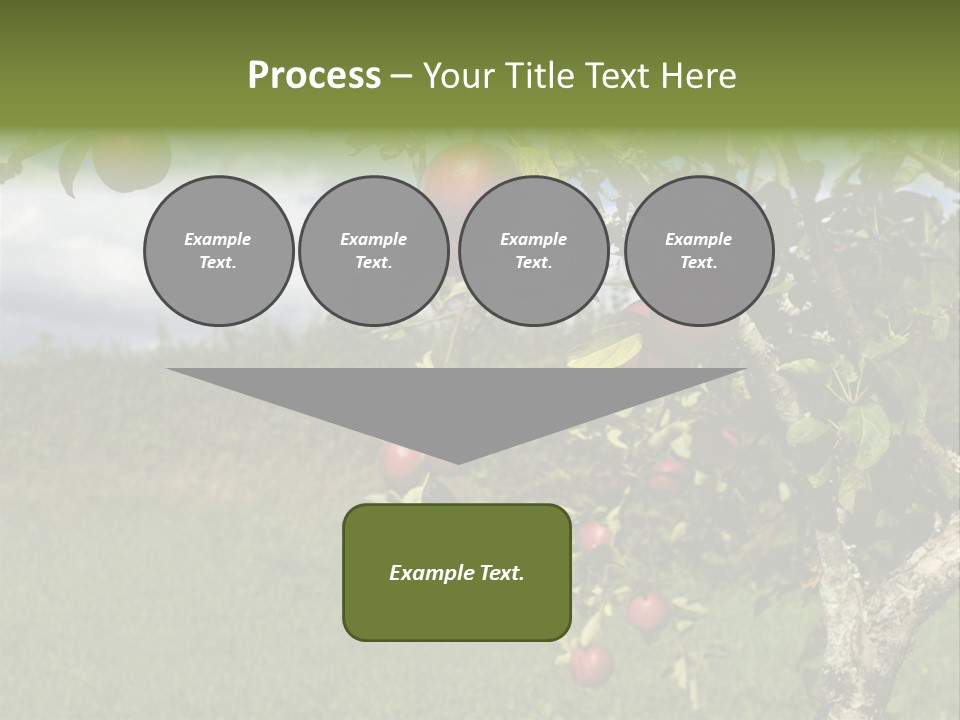Closeup Horizontal Tree PowerPoint Template
