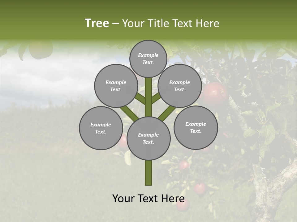 Closeup Horizontal Tree PowerPoint Template