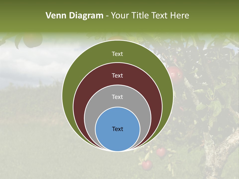 Closeup Horizontal Tree PowerPoint Template