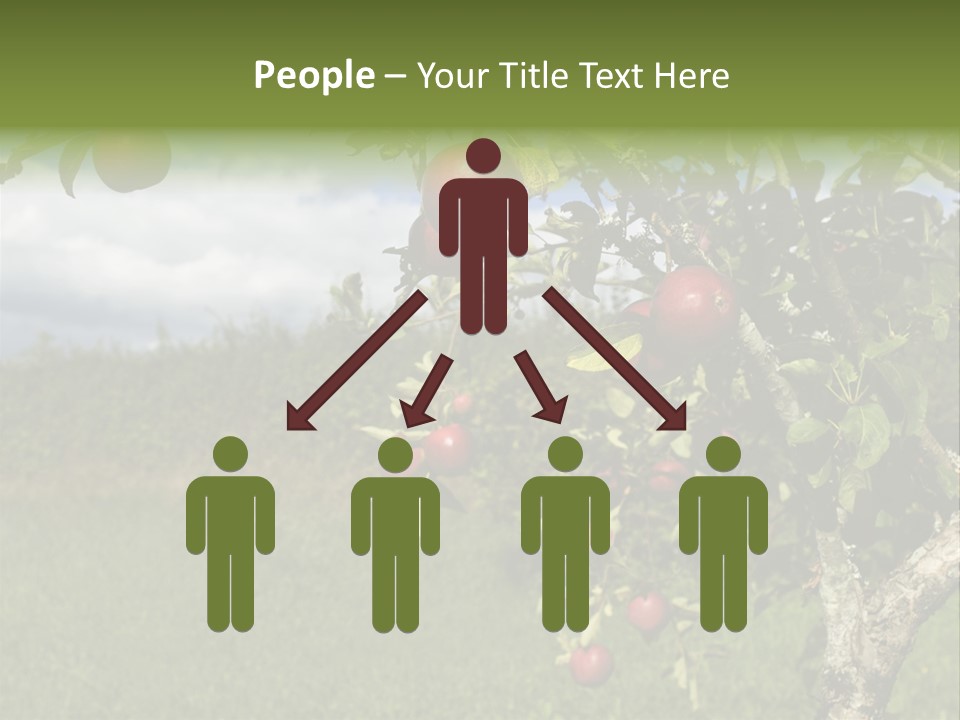 Closeup Horizontal Tree PowerPoint Template
