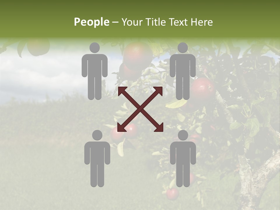 Closeup Horizontal Tree PowerPoint Template