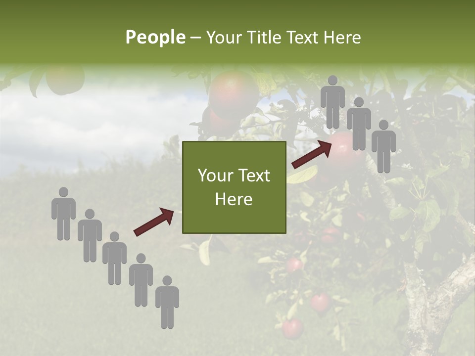 Closeup Horizontal Tree PowerPoint Template