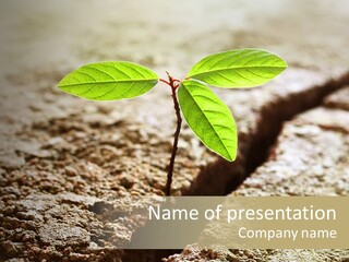 Investment Environment Concrete PowerPoint Template