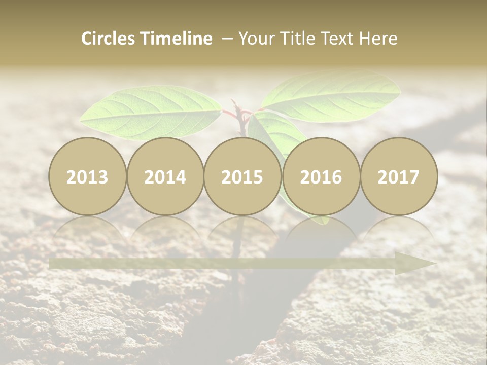 Investment Environment Concrete PowerPoint Template