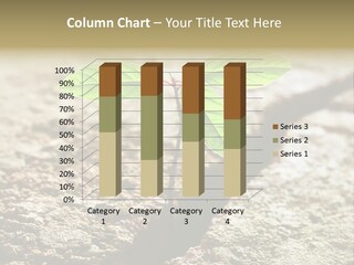 Investment Environment Concrete PowerPoint Template