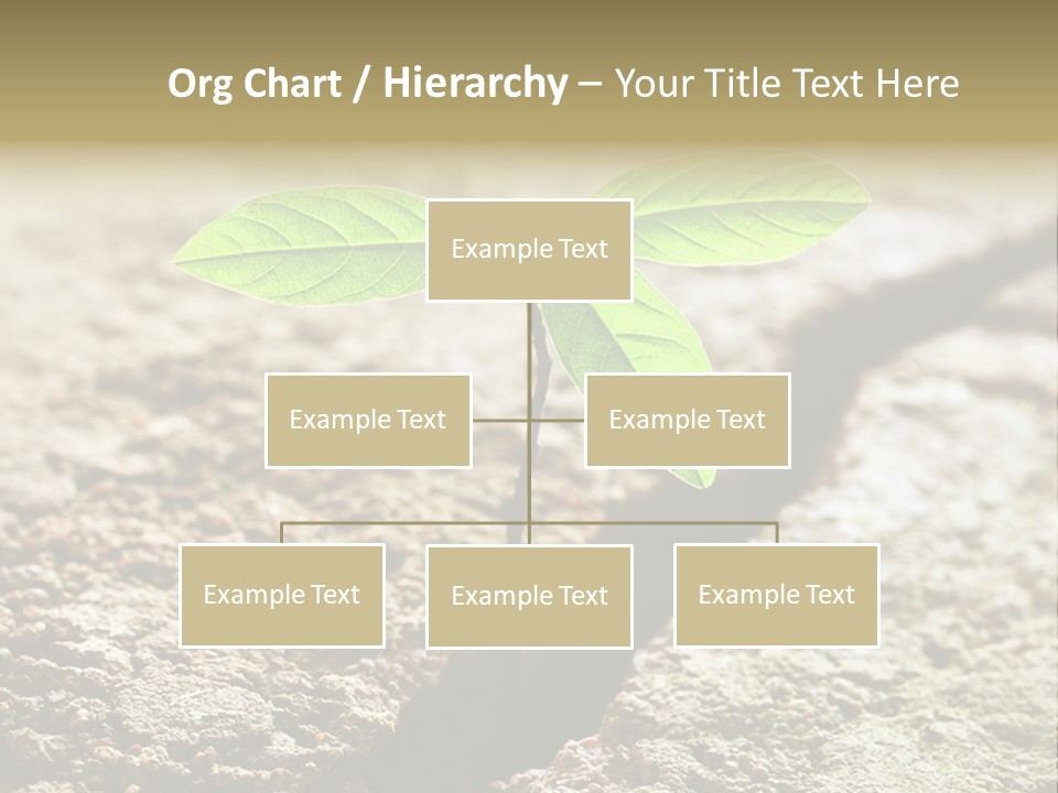 Investment Environment Concrete PowerPoint Template