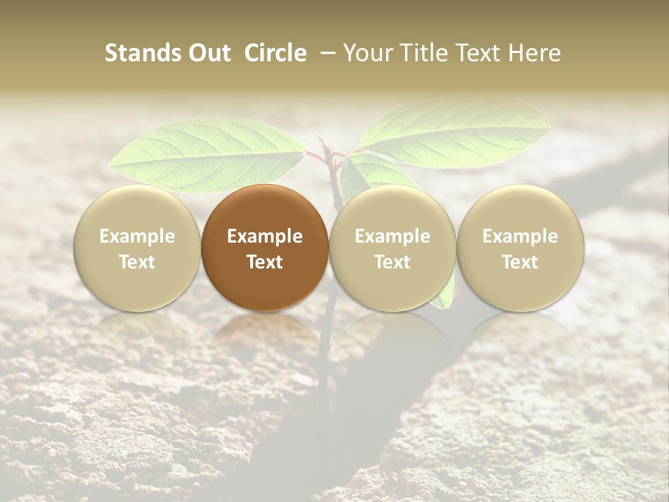 Investment Environment Concrete PowerPoint Template