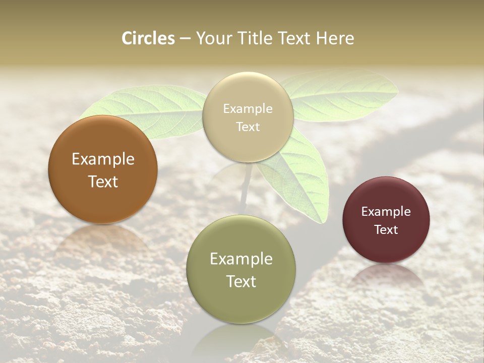 Investment Environment Concrete PowerPoint Template