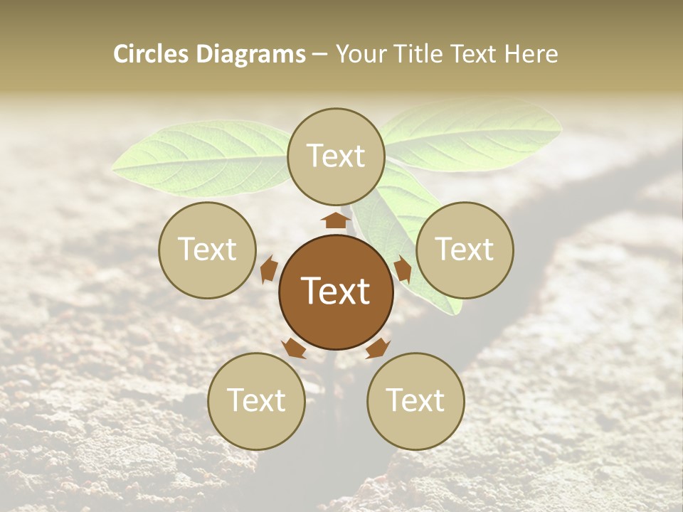 Investment Environment Concrete PowerPoint Template