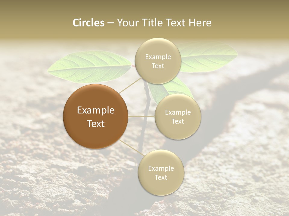 Investment Environment Concrete PowerPoint Template