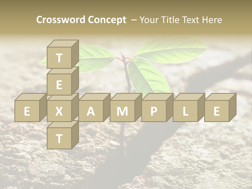 Investment Environment Concrete PowerPoint Template