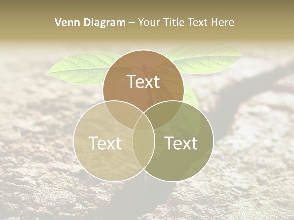 Investment Environment Concrete PowerPoint Template
