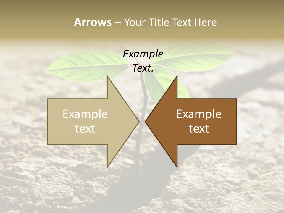 Investment Environment Concrete PowerPoint Template