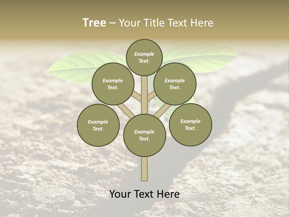Investment Environment Concrete PowerPoint Template