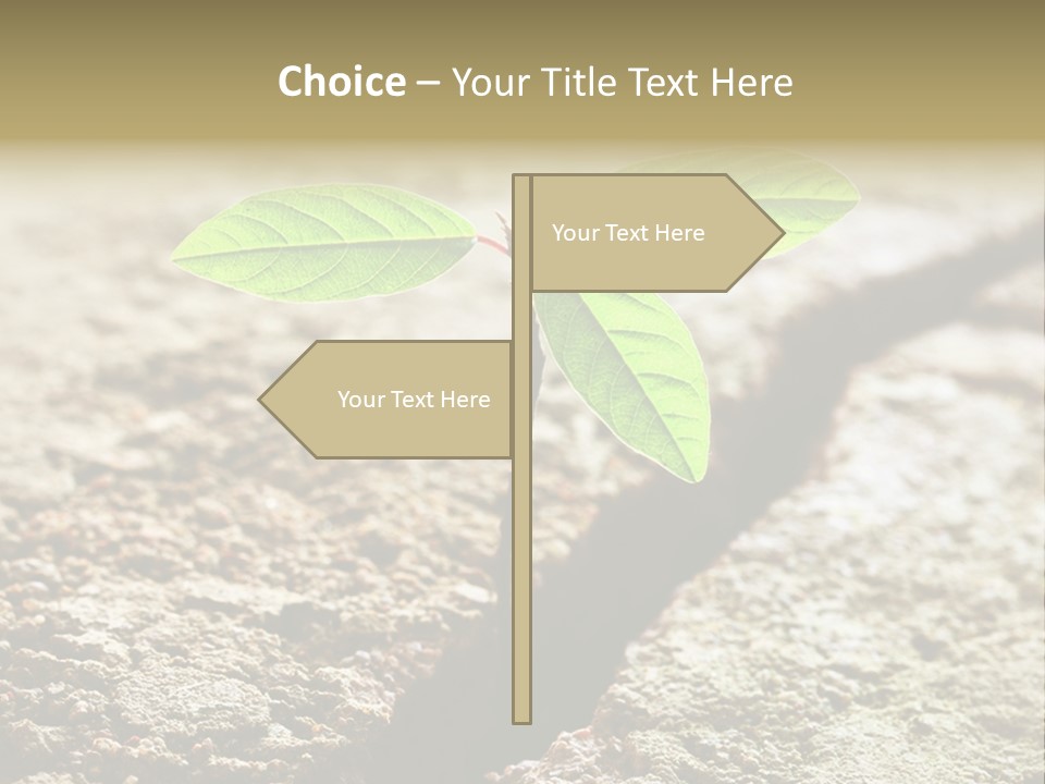 Investment Environment Concrete PowerPoint Template