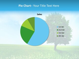 View Park Dandelions PowerPoint Template