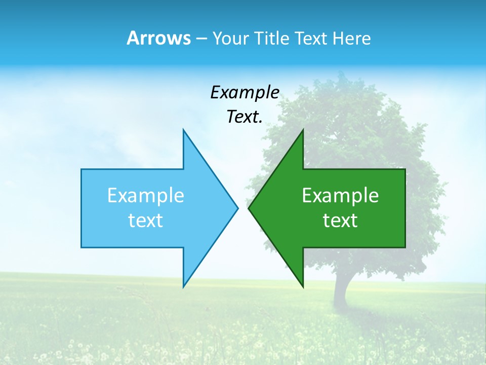 View Park Dandelions PowerPoint Template