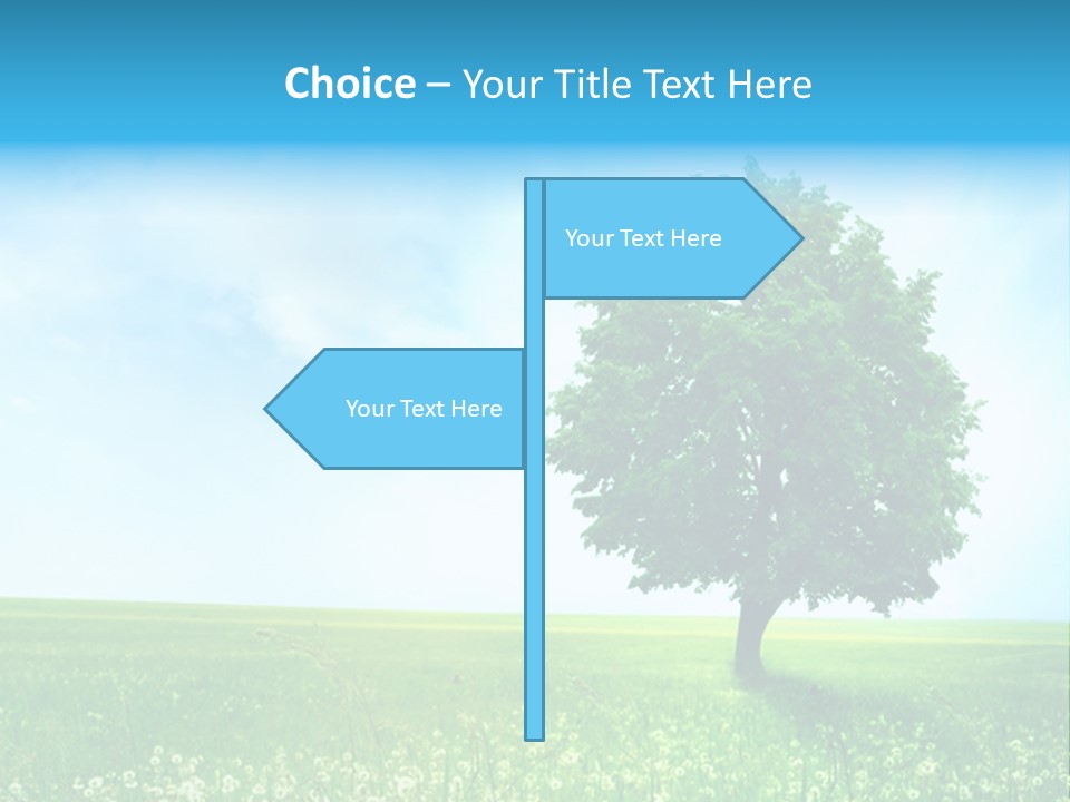 View Park Dandelions PowerPoint Template
