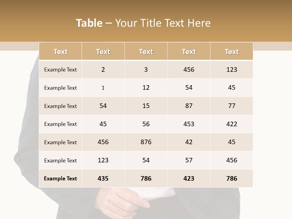 Beautiful Professional Partner PowerPoint Template