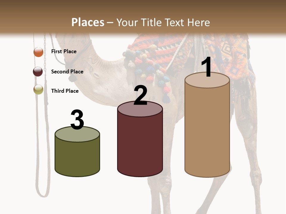 Africa Saddle Vacations PowerPoint Template