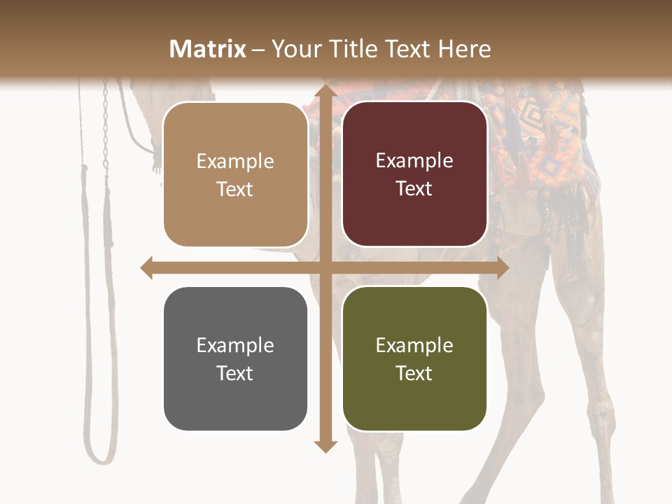 Africa Saddle Vacations PowerPoint Template